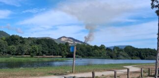 Incêndio florestal mobiliza meios terrestres e um aéreo em Arcozelo